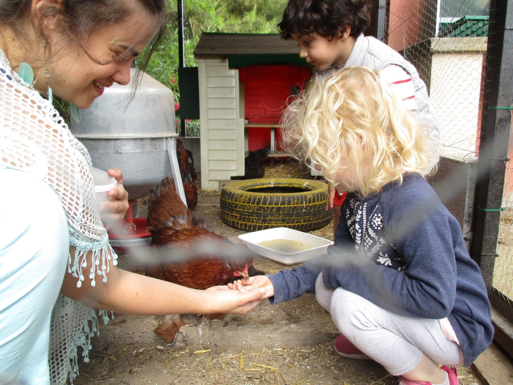 A child and an adult feed the hens in the henhouse.