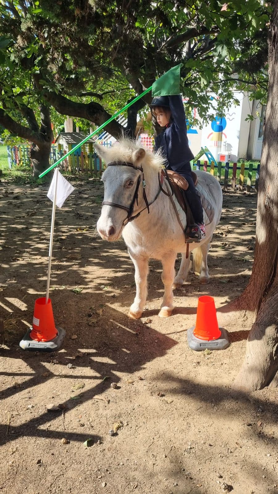 Un enfant casqué, à poney, attrape un drapeau lors d'un jeu à l'ombre des arbres.