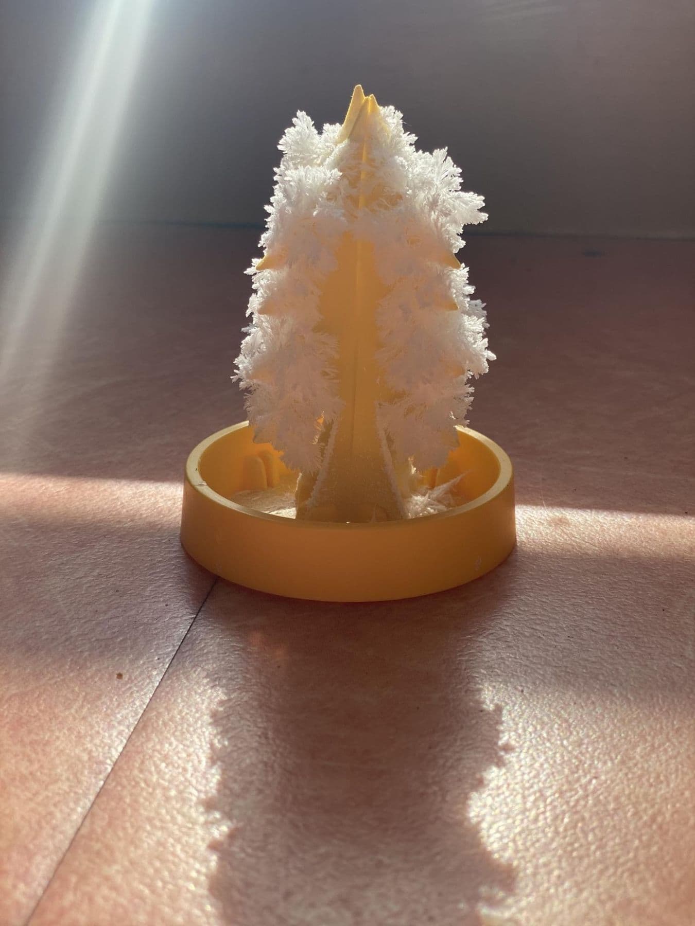 Un arbre de cristaux obtenu lors d'une expérience, dans un rayon de soleil.