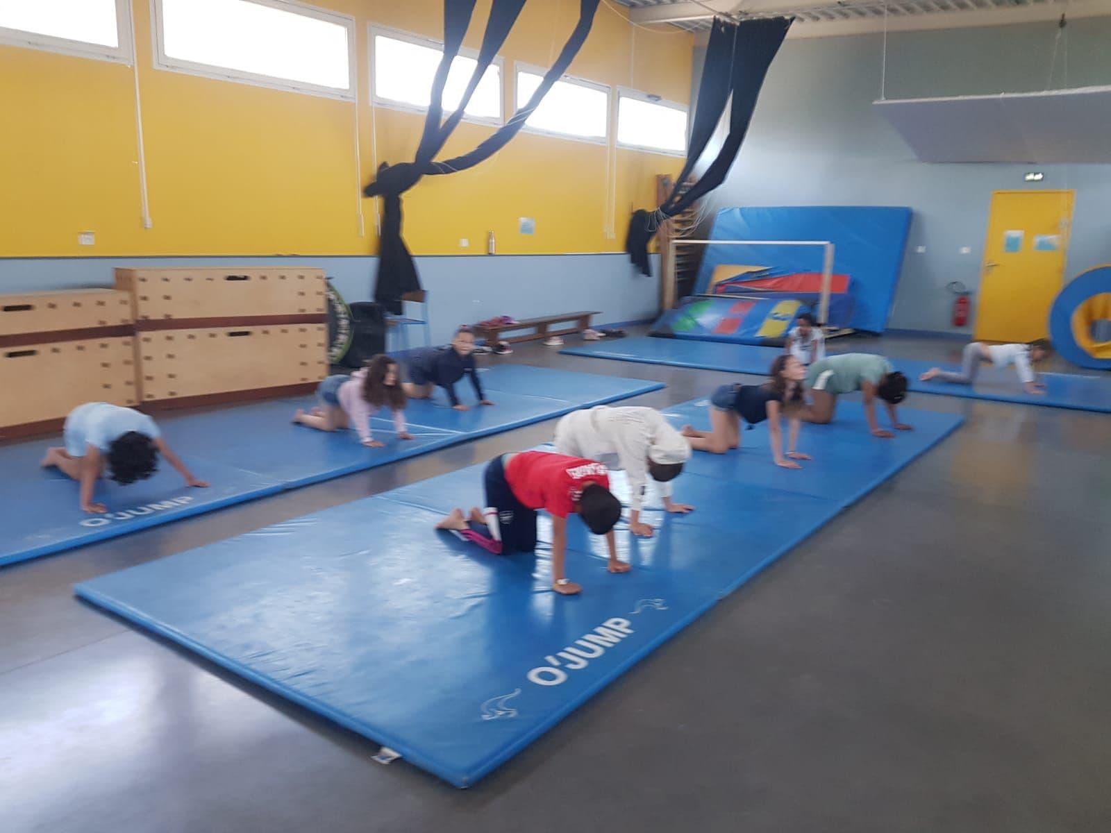 A yoga session in the gym, with children on all fours on blue mats.
