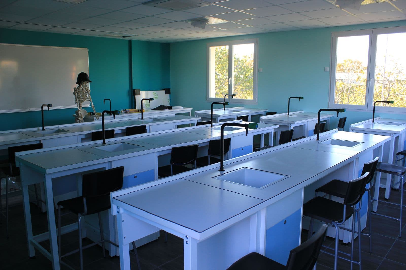 Le laboratoire de sciences, avec ses paillasses et ses murs turquoise.