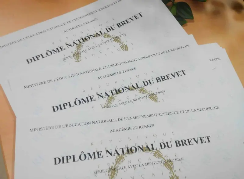 Illustration for the article : The Diplôme National du Brevet (DNB) at the end of 3e at Eridan