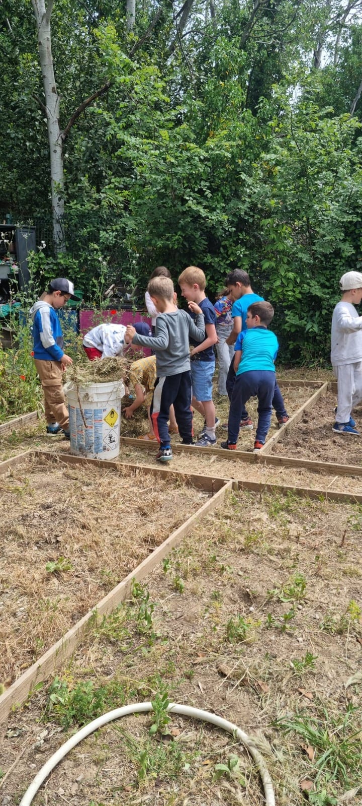 Illustration for the article : Cleaning the garden plots and walkways: well done, GS and CP